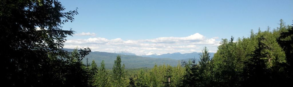 Photo of a green sub-boreal forest with snow-capped blue mountains in the distance, under a blue sky with scattered white clouds.